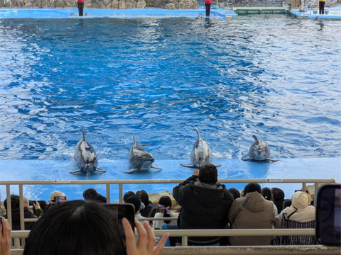 ���É��`������